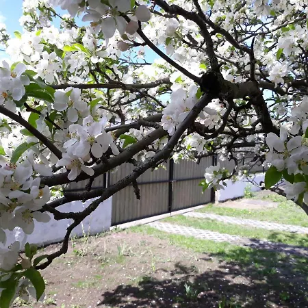 Szep Julis Vendeghaz Case de vacanță *