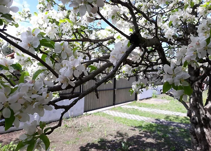 Szep Julis Vendeghaz Case de vacanță *